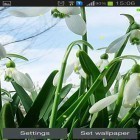 Download live wallpaper Spring snowdrop for free and Steampunk clock for Android phones and tablets .