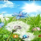 Besides Summer flowers live wallpapers for Android, download other free live wallpapers for Motorola DROID X MB810.