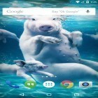 Download live wallpaper Underwater animals for free and Ghost rider: Fire flames for Android phones and tablets .