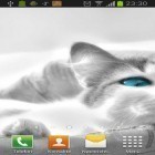 Download live wallpaper White cats for free and Wolves mistery for Android phones and tablets .