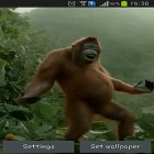 Download live wallpaper Wild dance crazy monkey for free and Tunnel 3D for Android phones and tablets .