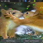 Download live wallpaper Winter squirrel for free and Quasar 3D for Android phones and tablets .