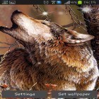 Download live wallpaper Wolf by HQ Awesome live wallpaper for free and Fire tornado for Android phones and tablets .
