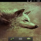 Download live wallpaper Wolves HQ for free and Valentines Day by orchid for Android phones and tablets .
