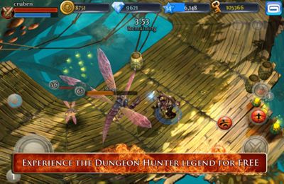 Download app for iOS Dungeon Hunter 3, ipa full version.