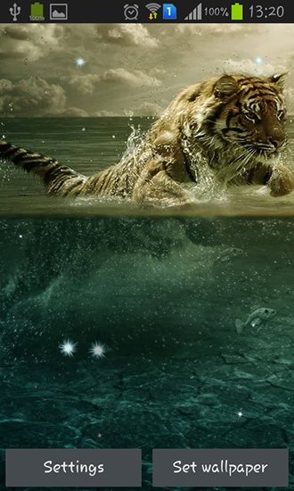 Screenshots of the live wallpaper Tigers for Android phone or tablet.