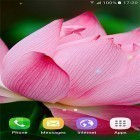 Besides Tropical flowers live wallpapers for Android, download other free live wallpapers for Lenovo A7000.